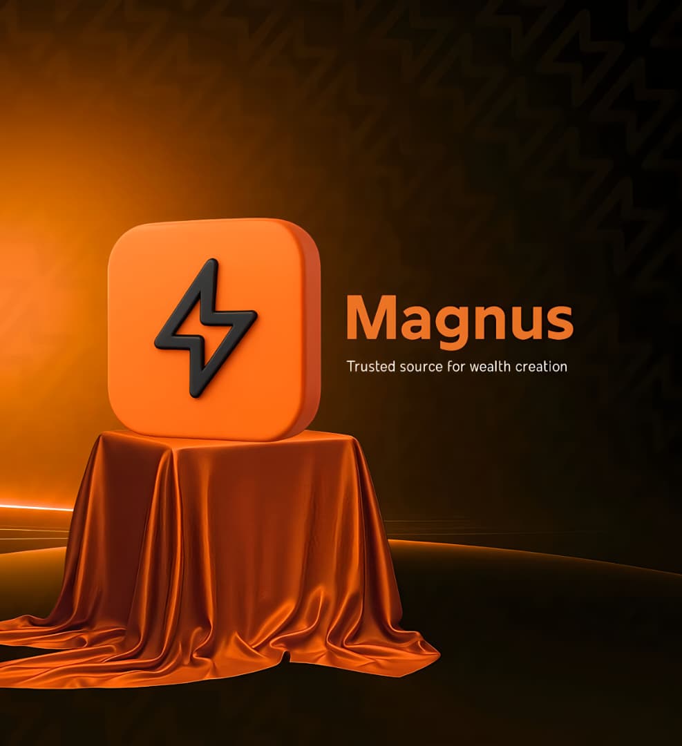User review of Magnus website — earnings with the Magnus app